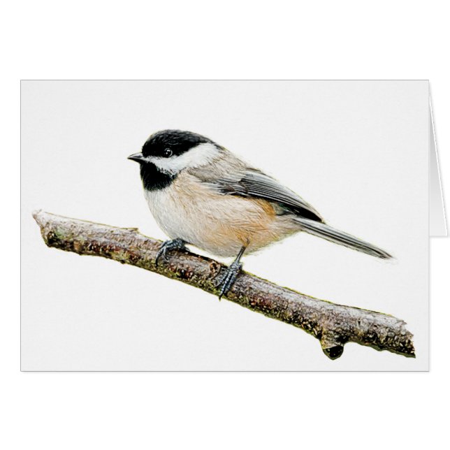 Chickadee on Branch (Voorkant Horizontaal)