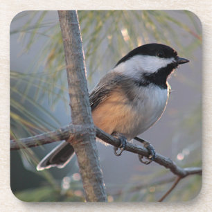Chickadee Onderzetter