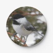 Chickadee Papieren Bordje (Voorkant)