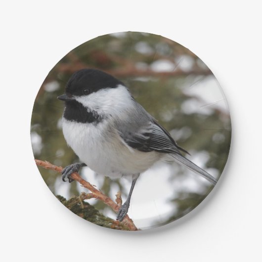 Chickadee Papieren Bordje (Voorkant)