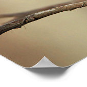 Chickadee Poster (Hoek)