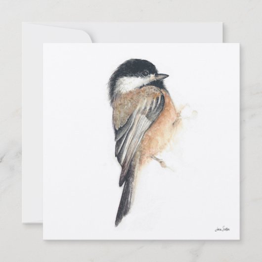 Chickadee schilderij Waterverf Kaart (Voorkant)