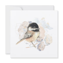 Chickadee Songbird Waterverf