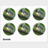 Chickadee Stickers (Vel)