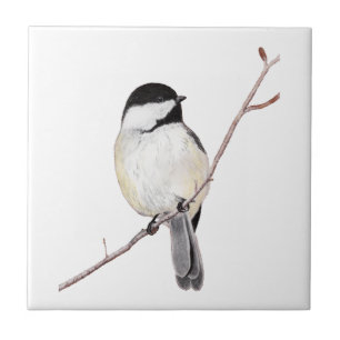 Chickadee Tegeltje