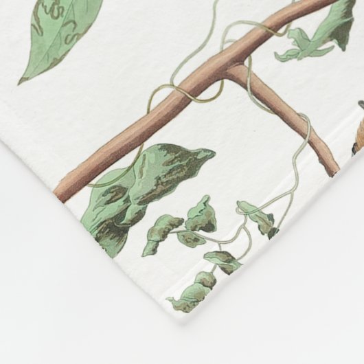 Chickadee Vogels Bessen & Pinecones Waterverf Fleece Deken (Hoek)