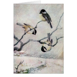 Chickadees dans la neige