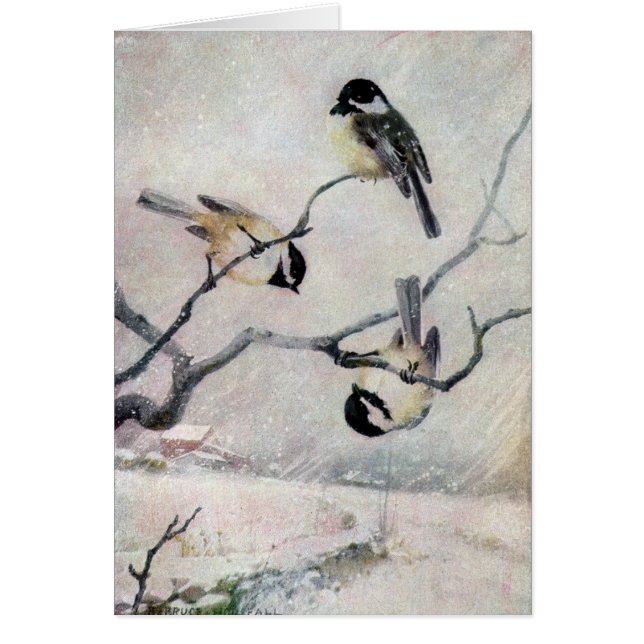 Chickadees dans la neige (Devant)