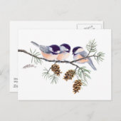 CHICKADEES EN PINECONES VAN SHARON SHARPE BRIEFKAART (Voorkant / Achterkant)