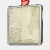 Chickamauga, Ga Metalen Ornament (Links)