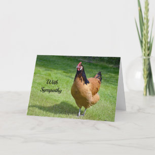 Chicken 3 Sympathy Card Kaart