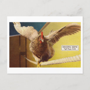 Chicken Acrobat Walking A Tight Rope Oddity Briefkaart