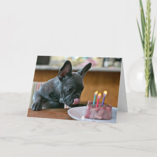 Chicken Birthday Wenskaart Kaart