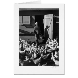 Chicken Boerderij Mori Nakashima 1943