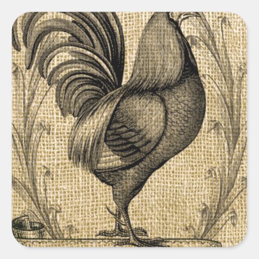 Chicken Burlap Vierkante Sticker (Voorkant)