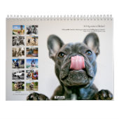 Chicken Calendar 2013 Kalender (Achterkant)