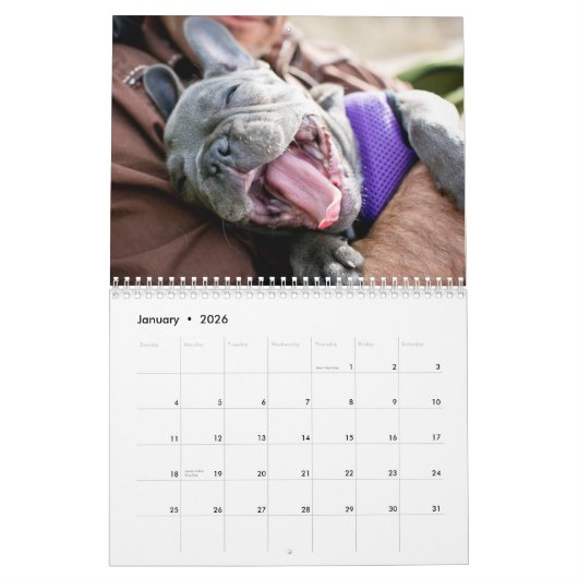 Chicken Calendar 2013 Kalender (Jan 2026)