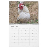 Chicken Calendar 2026 Kalender (Mar 2027)