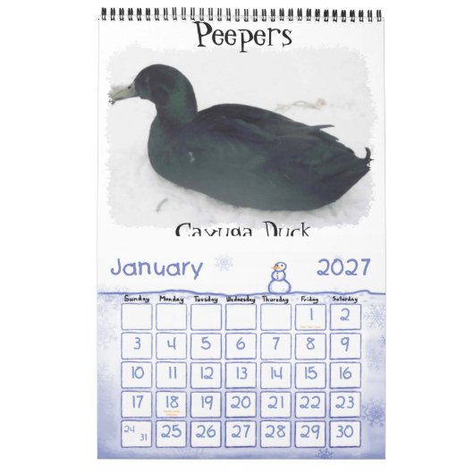 Chicken Calendar Kalender (Jan 2027)