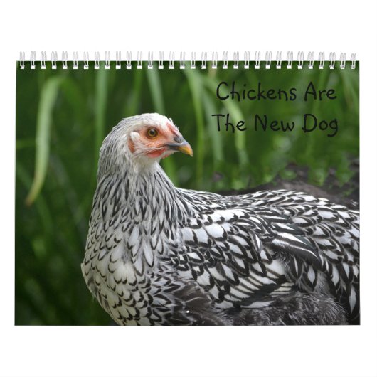 Chicken Calendar Kalender (Hoes)