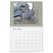 Chicken Calendar Kalender (Jan 2026)