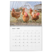 Chicken Calendar Kalender (Mar 2027)