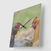 Chicken Clock Vierkante Klok (Hoek)