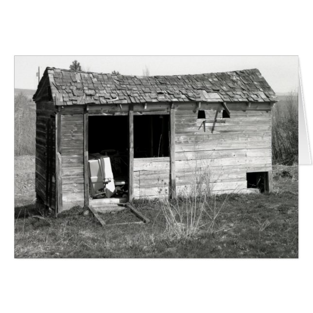 Chicken Coop (Voorkant Horizontaal)