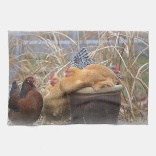 Chicken Dish Towel Theedoek