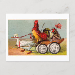 Chicken Driving Duck Cart Oddity Briefkaart