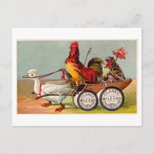 Chicken Driving Duck Cart Oddity Briefkaart (Voorkant)