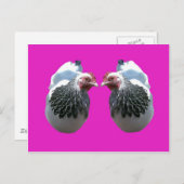CHICKEN DUO OVER MAGENTA BRIEFKAART (Voorkant / Achterkant)