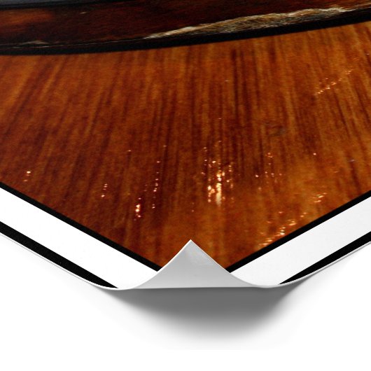 Chicken Fajitas Poster (Hoek)