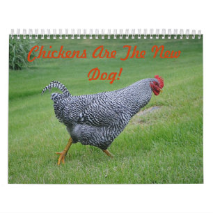 Chicken Farmyard Calendar Kalender