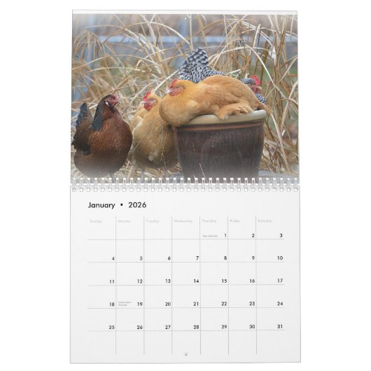 Chicken Farmyard Calendar Kalender (Jan 2026)
