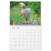Chicken Farmyard Calendar Kalender (Mar 2027)