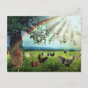 Chicken Heaven Briefkaart