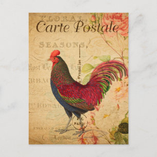  Chicken Hen Rooster afbeelding Frans Briefkaart