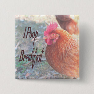 Chicken I poop Breakfast Funny Humor Vierkante Button 5,1 Cm