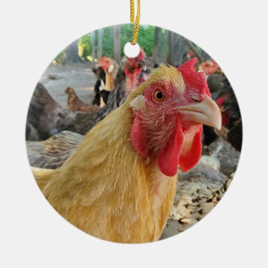 Chicken Keramisch Ornament (Voorkant)