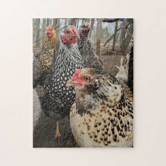 Chicken Legpuzzel (Verticaal)