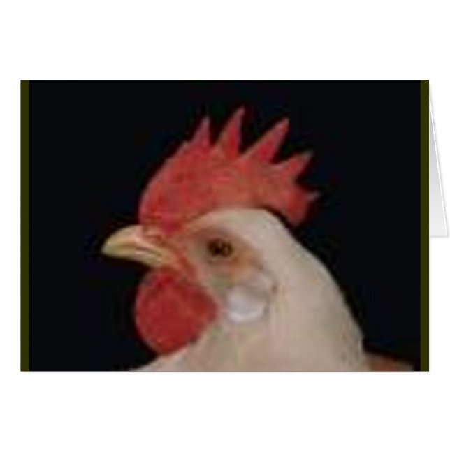 Chicken Love (Voorkant Horizontaal)