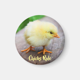 Chicken Lover Round Magnet Magneet