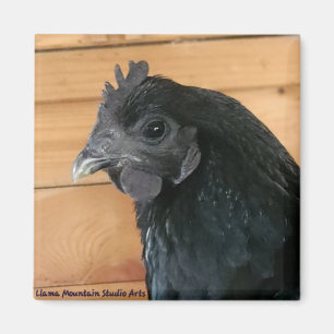 Chicken Magnet #3 Southern Rambler Magneet