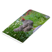 Chicken Magnet Magneet (Linkerzijde)