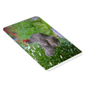 Chicken Magnet Magneet (Rechterzijde)