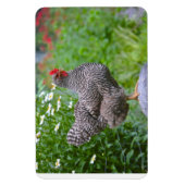 Chicken Magnet Magneet (Verticaal)