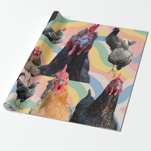 Chicken Mania All Occasion Wrapping Paper  Cadeaupapier (Uitgerold)