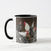CHICKEN-MOK MOK (Links)