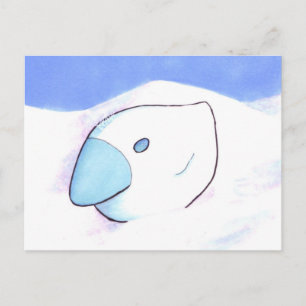 Chicken of Ice postcard Briefkaart